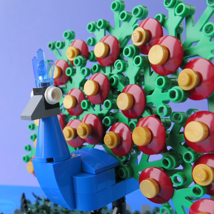 LEGO MOC - 16x16: Animals - Indian Peafowl