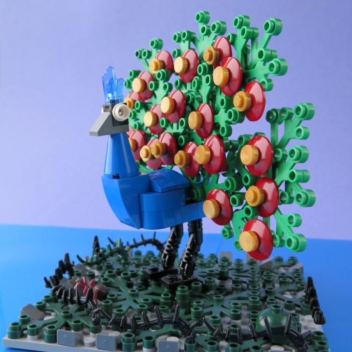 LEGO MOC - 16x16: Animals - Indian Peafowl
