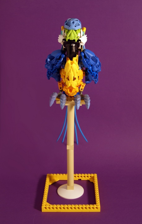 LEGO MOC - 16x16: Animals - Blue-and-yellow Macaw