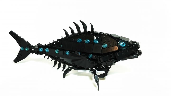 LEGO MOC - Fantastic Beasts And Who Dreams Of Them - Cryptopalus lustrum: Впервые открытые в 1873 году в Аргентине магом-зоологом Германом МакДенви, полуночники вскоре стали очень известны благодаря выделяемой ими слизи. Данное вещество обладаем магическими свойствами, позволяющими ей не высыхать даже при очень высоких температурах. кожа рыбы выделяет эту слизь во время пересыхания водоёма, что позволяет полуночникам не высохнуть самим: слизь покрывает всё тело животного, а в особенности его жабры, предотвращая испарение воды. Это даёт рыбам возможность переползти в новый водоём в случае пересыхания их старого дома. <br />
Слизь полуночников стала активно использоваться в косметике, для производства увлажняющих кремов и, что более значимо, в зельеварении. Влагоудерживающие свойства слизи позволили создавать более стабильные зелья и настои, а так же сделали варку зелий, требующих очень высоких температур проще.<br />
Все 8 видов в роду Cryptopalus способны вырабатывать волшебную слизь, однако особое распространение получил только Cryptopalus lustrum, благодаря его неприхотливости и необычной окраске, напоминающей чёрное звёздное небо (откуда и название). Начиная с 1890-х, полуночники стали активно выращиваться волшебниками в США, а затем и в Европе. Благодаря неприхотливости полуночников (они могут жить буквально в любой луже), их разведение стало очень выгодным, а зелья, приготовленные на основе их слизи дешёвыми и общедоступными. Однако вскоре появилась серьёзная проблема. Полуночники оказались мастерами побега. Эти скользкие захватчики стали повсеместно сбегать из мест их разведения, проникая в новые для них экосистемы Евразии и Америки. Так полуночники проникли в сеть канализаций Лондона, а затем и в Темзу, успешно заселили реки Испании и Франции. Целая популяция обосновалась в канализациях Нью-Йорка, а во Флориде даже образовался новый подвид Cryptopalus lustrum floridis, способный жить в солоноватой и даже солёной воде. Полуночник стал серьёзной угрозой для аборигенных видов.  Например в одной только Англии, рыбы-захватчики, попав в сеть озёр на юге страны, смогла за два года полностью истребить местный эндемичный вид магических карликовых саламандр. 