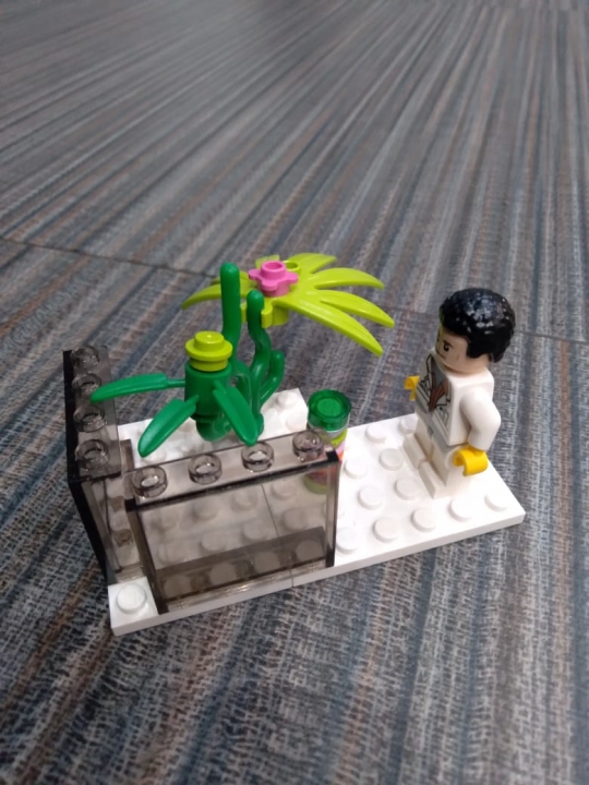LEGO MOC - LEGO-конкурс 16x16: 'Все работы хороши' - Ботаник: Ботаник и чудо растение