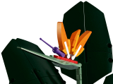 sub-tema