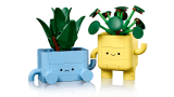 sub-tema