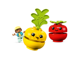 sub-tema