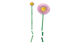 sub-tema