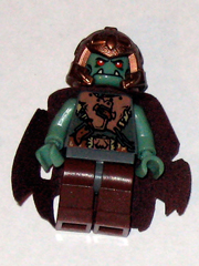 cas428