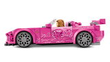 sub-tema