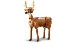 sub-tema