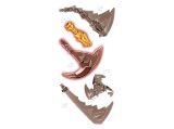 sub-tema