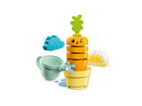 sub-tema