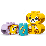 sub-tema