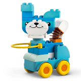 sub-tema